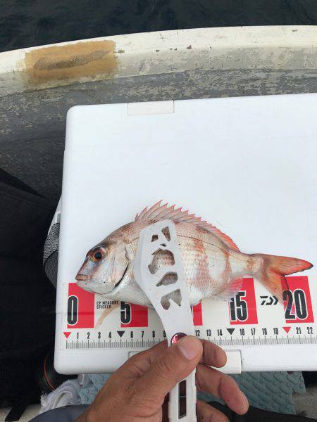 伊東でボート！