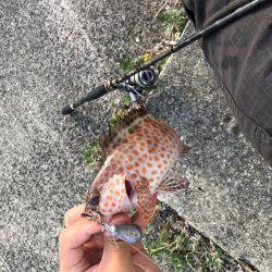 グルーピング？(笑)