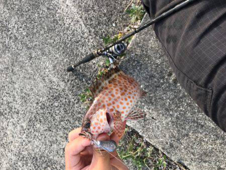 グルーピング？(笑)