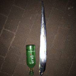 ポートアイランド タチウオ3匹