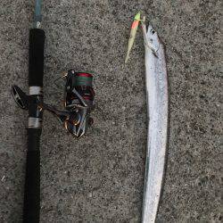 余裕をもって 参りましょう