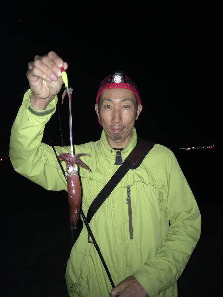 夜中ケンサキイカゲーム