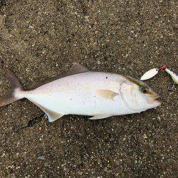 ヒットパターン