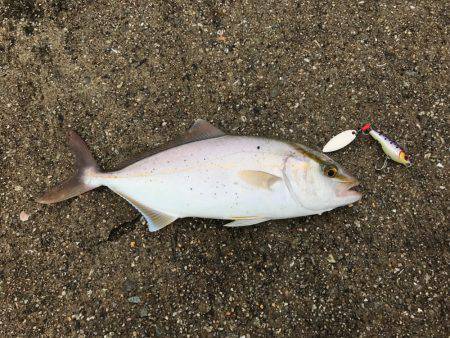 ヒットパターン