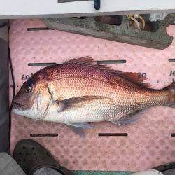 マイボートでタイラバで真鯛