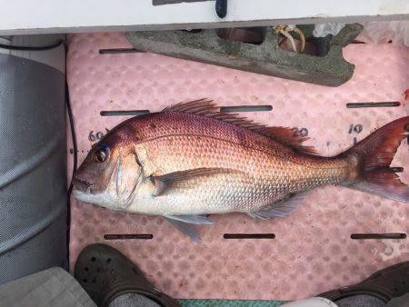 マイボートでタイラバで真鯛