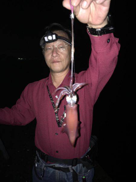 ケンサキイカ☆マイカゲームからシーバス☆ツバスゲームへ