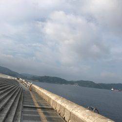 タチウオ好調です！