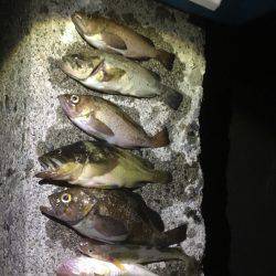 オホーツクロック！