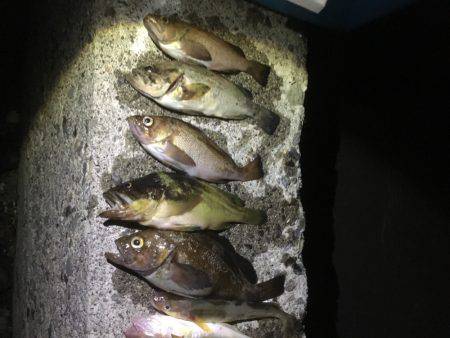 オホーツクロック！