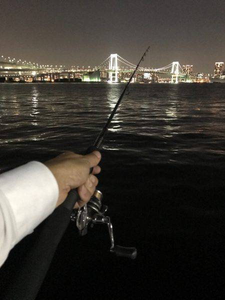 サヨリがらたくさんいました。