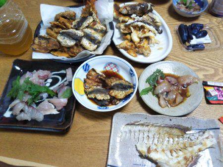 9月の海上釣堀オーパ!!