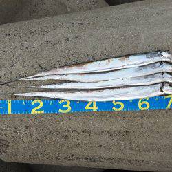 フォールバイト