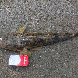 昨日は酷かった・・・今日は・・・