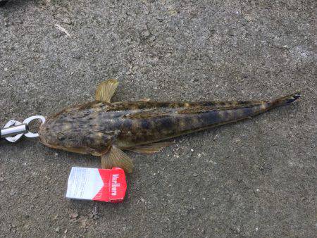 昨日は酷かった・・・今日は・・・