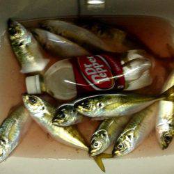 キープオンアジング