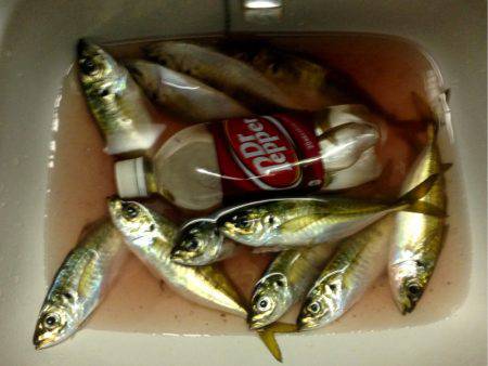 キープオンアジング