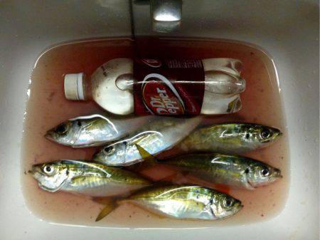 ショップ限定カラー調査