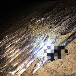 バーサー求めて