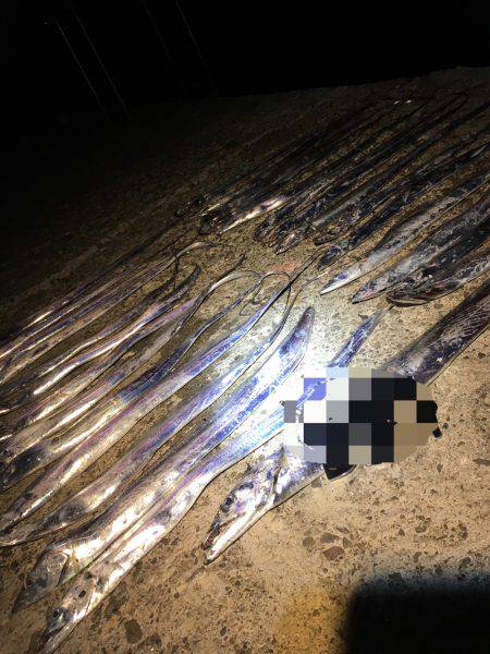 バーサー求めて