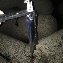 ライトショアジギンク