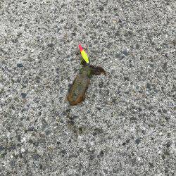 ライトショアジギング