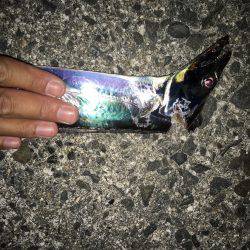 タチウオゲキ渋