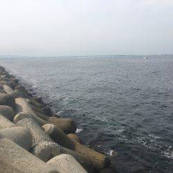 貝塚人工島 ハマチアンドサゴシ