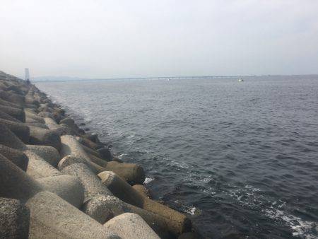 貝塚人工島 ハマチアンドサゴシ