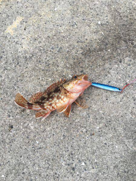 風が強かった、そら台風来てるもんな！笑