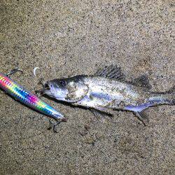 ナイトウェーディング