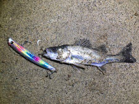 ナイトウェーディング