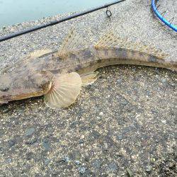 台風前に釣りに・・・