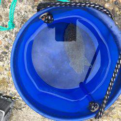 ヤッパリ奴は裏切らない