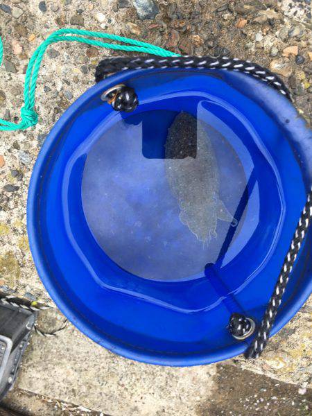 ヤッパリ奴は裏切らない