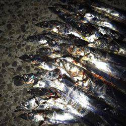 とうとう爆りました!