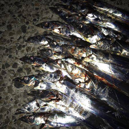 とうとう爆りました!