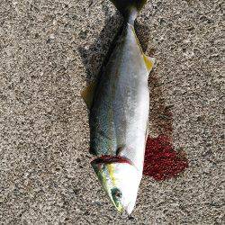 台風一過後のお祭りワッショイ