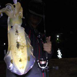 暇潰しエギング