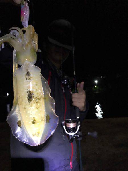 暇潰しエギング