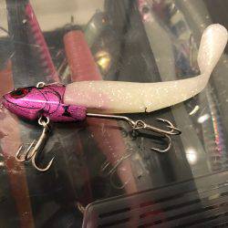 タチウオなかなか