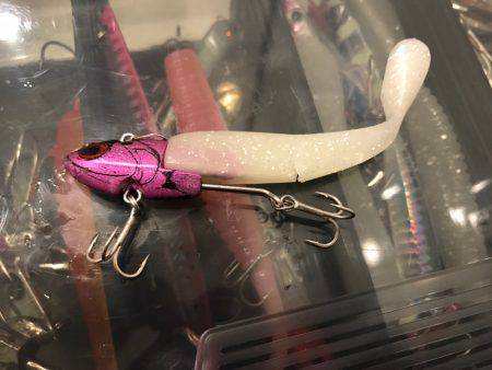 タチウオなかなか