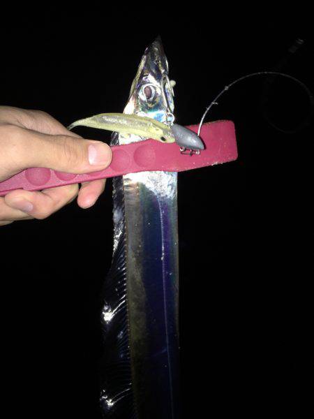 アジング、ワインド