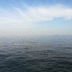 初太刀＆さごし