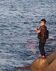 サゴシからのハマチ