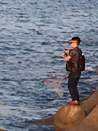 サゴシからのハマチ