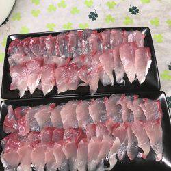 イカはいなかったよう。