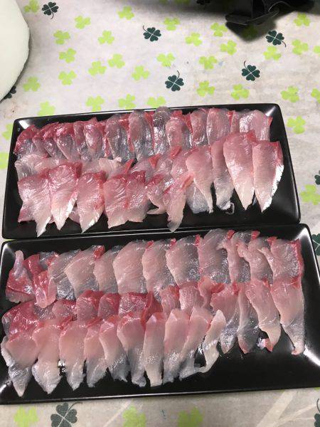 イカはいなかったよう。