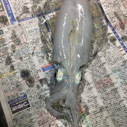 アオリをジックリ狙って