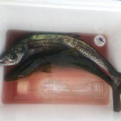 秋の釣りシーズン